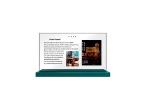 Настольный прозрачный OLED монитор 30", WXGA, яркость 600 кд/м2 — фото, характеристики, цена | Kaywoon