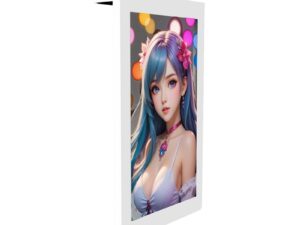 Коммерческий дисплей для digital signage KAYWOON 55″: ультратонкий, прозрачный — купить в Kaywoon