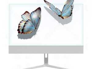 Прозрачный OLED-экран KAYWOON 30″ двусторонний настольный — купить в интернет-магазине Kaywoon