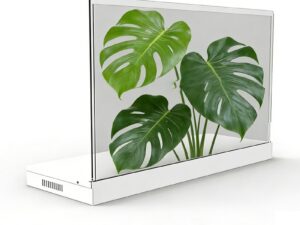 Прозрачный OLED-экран KAYWOON 30″ сенсорный — купить в интернет-магазине Kaywoon