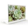 Прозрачный OLED-экран KAYWOON 30″ сенсорный — купить в интернет-магазине Kaywoon — фото 3