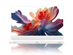 Прозрачный OLED-экран KAYWOON 55″ — купить в интернет-магазине Kaywoon