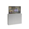 Прозрачный OLED-экран KAYWOON 55″ — купить в интернет-магазине Kaywoon