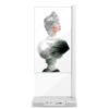 Прозрачный OLED-экран KAYWOON 55″ напольный сенсорный — купить в интернет-магазине Kaywoon — фото 3