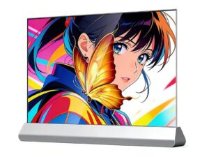 Прозрачный OLED-экран KAYWOON 30″ сенсорный — купить в интернет-магазине Kaywoon