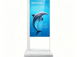 Прозрачный OLED-экран KAYWOON 55″ 4K — купить в интернет-магазине Kaywoon