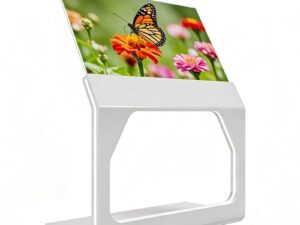Прозрачный OLED-экран KAYWOON 55″ сенсорный — купить в интернет-магазине Kaywoon