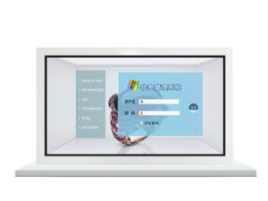 Прозрачный LCD-дисплей KAYWOON 43″: прозрачный, сенсорный — купить в Kaywoon