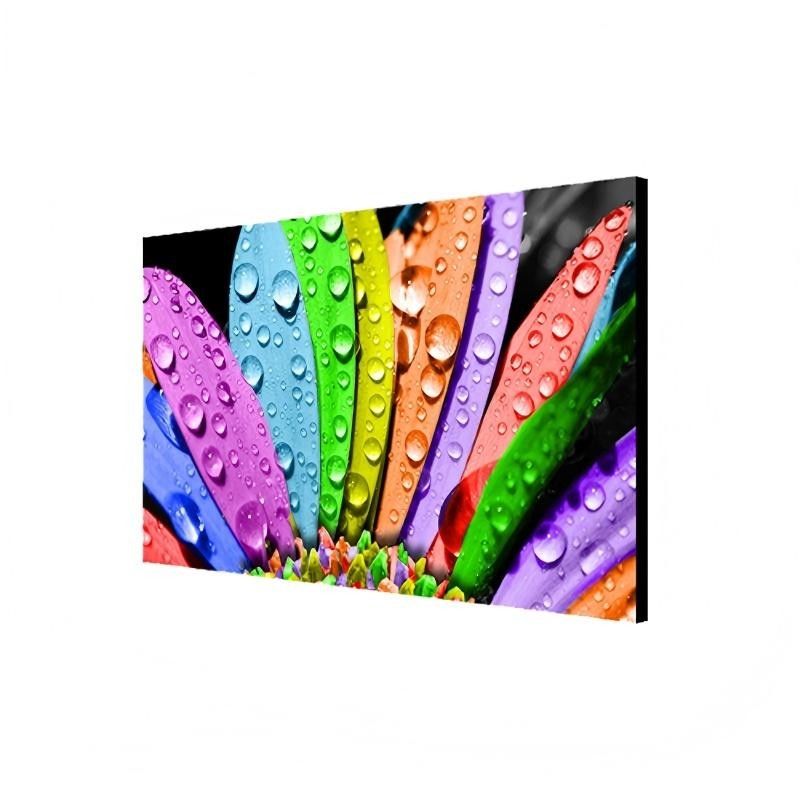 Прозрачная OLED видеостена Kaywoon 2×2 — вид сбоку
