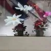 55-дюймовый OLED-прозрачный дисплей для создания инновационных цифровых витрин