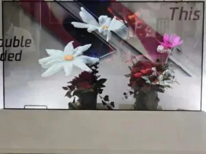 55-дюймовый OLED-прозрачный дисплей для создания инновационных цифровых витрин