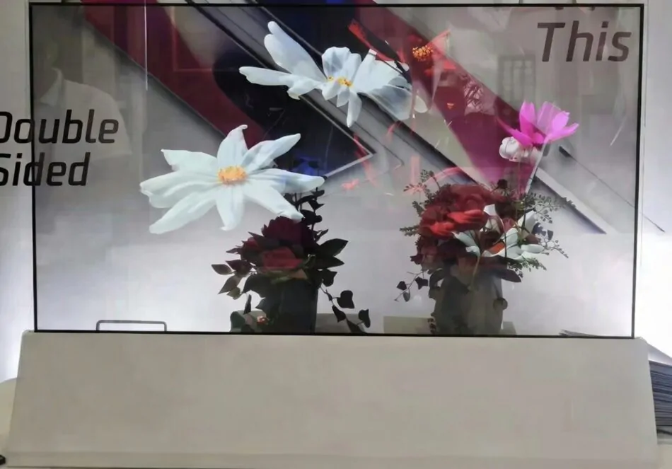 55-дюймовый OLED-прозрачный дисплей для создания инновационных цифровых витрин