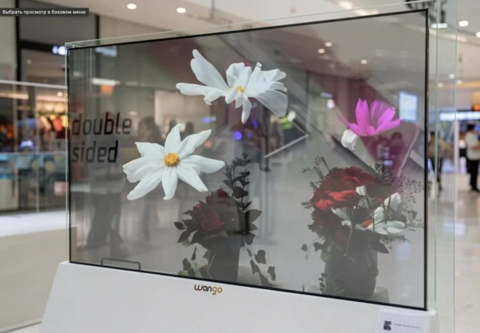 55-дюймовый OLED-прозрачный дисплей для создания инновационных цифровых витрин — фото 4