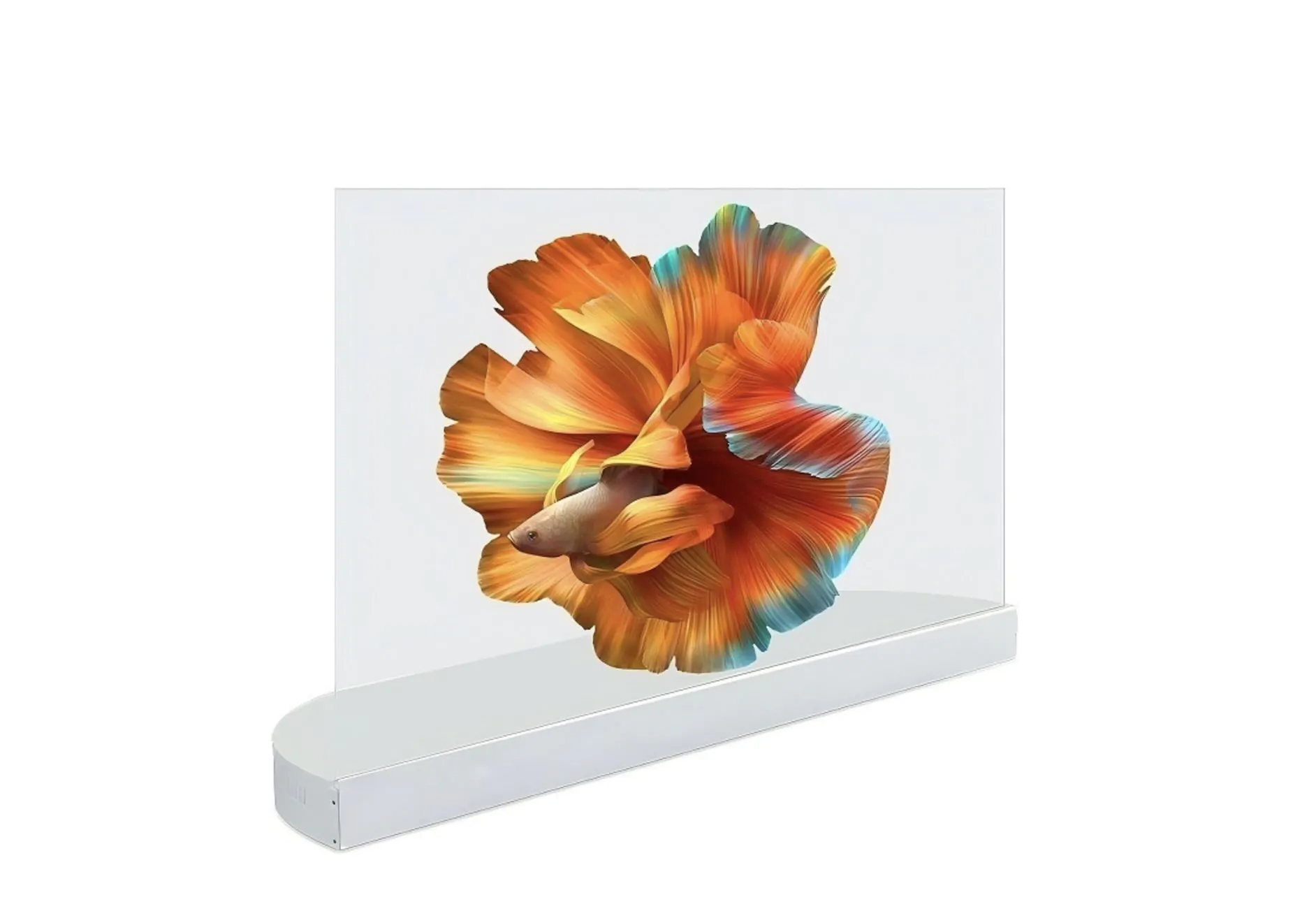 55-дюймовый прозрачный OLED сенсорный дисплей с прозрачностью выше 75% для витрин