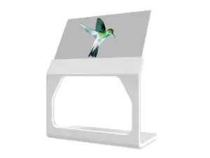 55″ Наклонный прозрачный OLED экран для музеев, выставок и интерактивных инсталляций